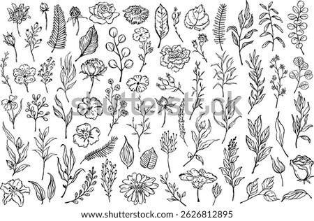 outline floral set two, botanical, foliage leaves flowers branches collection, isolated vector illustration