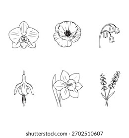 Contorno de ícones de flores pacote - conjunto floral de arte de linha limpa com desenhos mínimos traço preto