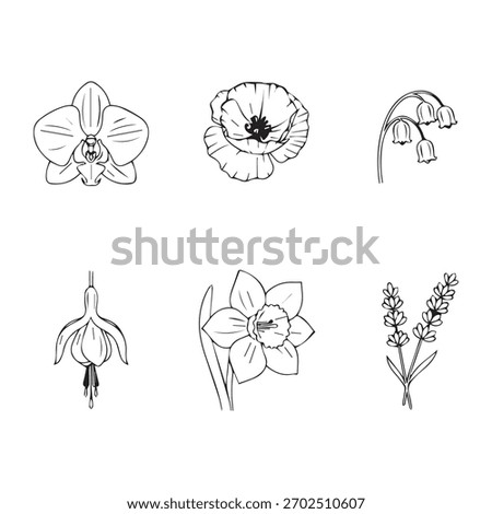 Outline flower icons bundle – clean line art floral set with minimal black stroke designs