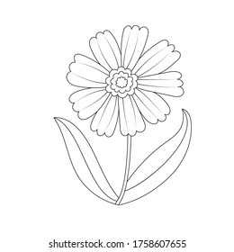 outline of a flower isolated on a white background. Vector illustration for coloring books, scrapbooking. Flat design.
