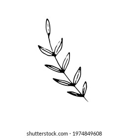 Outline flower. Line art blossom. Spring plant. Summer herb. Digital