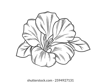 Outline flower sketch. Monochrome doodle drawing of blooming flower with petals and leaves. Trendy botanical design element for logo. Hand drawn vector illustration in line art style