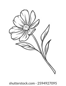 Outline flower sketch. Trendy botanical design element with blooming flower or wild plant with leaves. Tattoo or logo. Hand drawn vector illustration in line art style isolated on background