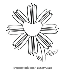 Outline of a flower. Spring season - Vector