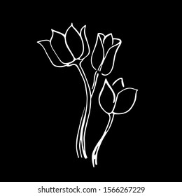 Outline flower tulip. Chalkboard hand drawn illustration. White vector icon isolated on black.