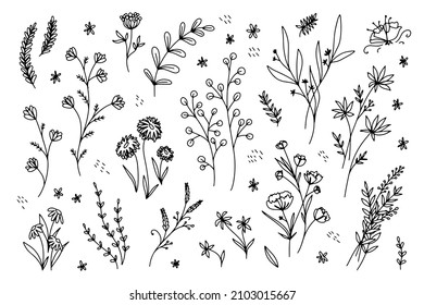Blumen in Umrissen. Schöne Clipart-Elemente. Naturlinie
