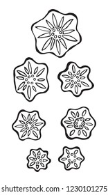 Outline Flowers Doodle Vector Graphic Illustration