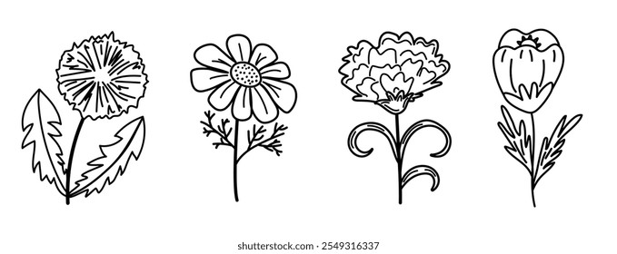 Conjunto de flores de contorno. Diente de león, manzanilla, clavel, tulipán, flor de prado lineart. Elemento para colorear páginas, materiales educativos o diseños botánicos. Vector ilustrationflor, contorno, doodle,