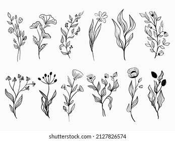Outline flowers vector set.  Black silhouettes of plants.  Trendy simple floral tattoo design. Sketch summer and spring herbs.  Black hand drawn doodle flowers. Garden line art bouquet. 