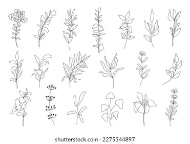 Rahmenblumen, Vektorset.  Schwarze Silhouetten von Pflanzen.  Trendy einfaches, florales Tattoo-Design. Sketch Sommer und Frühlingskräuter. Schwarze, handgezeichnete Doodle-Blumen. Garden Fine Art Bouquet