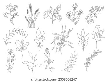 Contorno a conjunto de vectores de flores.  Siluetas negras de plantas.  Diseño de tatuaje floral simple y a la moda. Esbozar hierbas de verano y primavera. Flores de doodle dibujadas a mano negra. Abanico de arte fino en el jardín