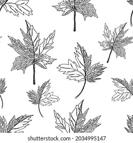 Outline foliage seamless pattern. Hand drawn vector illustration. Monochrome ornament with ink sketches of leaves. Botanical vintage design for fabric, textile, wallpaper, background, print, decor.