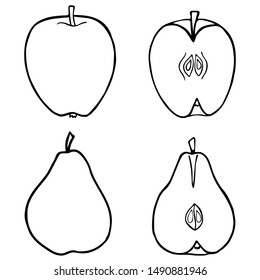Outline fruit apple and pear. Vegan, vegetarian diet. Raw food ingredient. Vegetarian nutrition. Sweet fruit. Isolated vector illustartion.