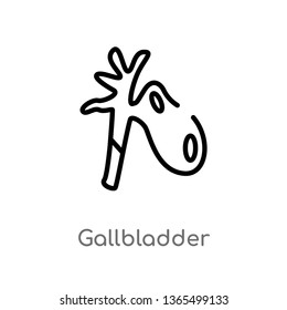 outline gallbladder vector icon. isolated black simple line element illustration from medical concept. editable vector stroke gallbladder icon on white background