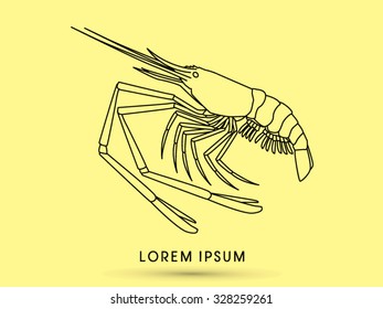 Outline Giant freshwater prawn, shrimp graphic vector.