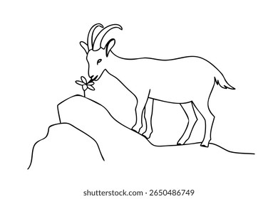 Contorno de uma cabra comendo uma flor em uma rocha contra um animal