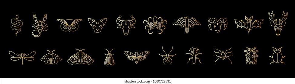 Outline golden icon set of mystic animals and insects. Butterfly, moth, dragonfly, spider, beetle, scorpion, snake, owl, deer, cat, bull, aries, raven, octopus, bat