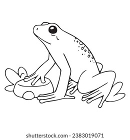 Der goldene Giftfrösch steht auf Stein. Kleiner giftiger Frosch, Toad. Kontaminieren Sie Amphibien mit toxischer Haut. Regenwaldfauna. Farbbuch. Line Art einzeln auf weißem Hintergrund