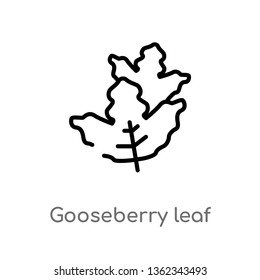 outline gooseberry leaf vector icon. isolated black simple line element illustration from nature concept. editable vector stroke gooseberry leaf icon on white background