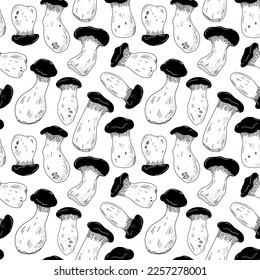 Outline gourmet seamless pattern king oyster mushrooms. Vector illustration in vintage line style