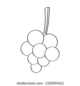 Outline of a grapes. Vector illustration design