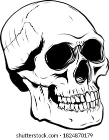 outline graphics vector illustration skull in black