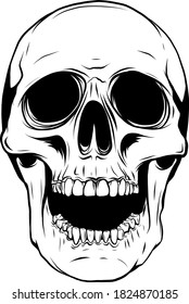 outline graphics vector illustration skull in black