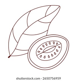 Contorno de fruta de goiaba. Fatia isolada fatiada e árvore de jardim tropical folha. Desenho de linha, livro de colorir. Ilustração vetorial