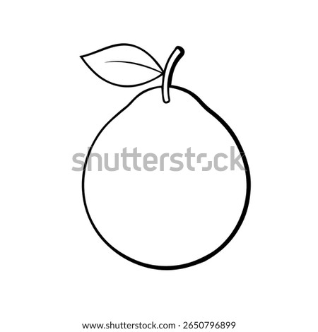 Outline of guava isolated on white background 