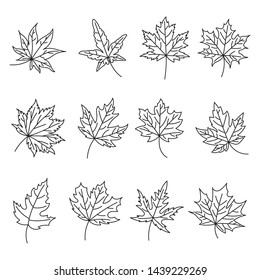 Outline hand drawing of autumn leaves set isolated on white background.