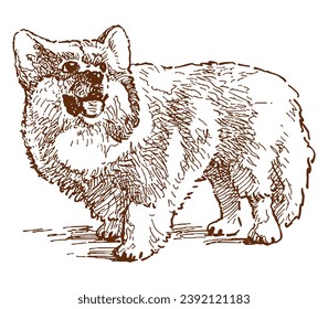 Dibujo manual de esquema del perro de corgi lindo