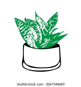 Dibujo manual de contorno ilustración de una planta decorativa verde Sansevieria en una olla aislada en un fondo blanco