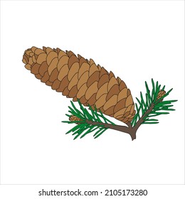 Dibujo manual de esquema ilustraciones vectoriales de un cono marrón y ramas de abeto de Navidad verde aisladas en fondo blanco