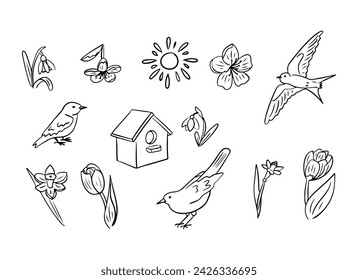 Outline hand drawn doodle set of birds and flowers. Spring or easter concept. Contour sketchy flowering plant and birds on white background. Ideal for coloring pages, tattoo, pattern