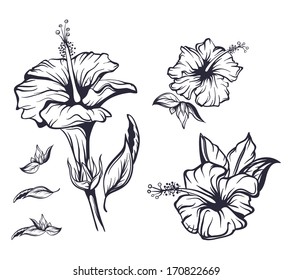 Outline Hand Drawn Hibiscus Exotic Hawaii Flower