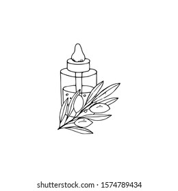 Outline hand drawn organic oil. The bottle with olive. Sketch vector illustration.