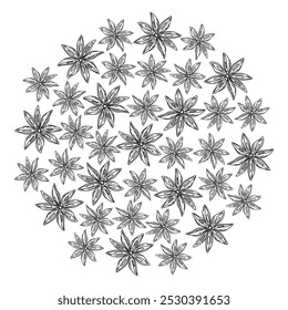 Outline hand drawn Star Anise. Herbs and Spices Day Circle Decorative background texture. Isolated