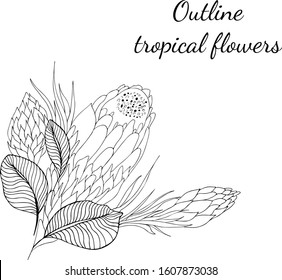 Outline hand drawn tropical flowers. Retro flowers hand outline orchid, great design for any purposes. Vector illustration. Tropical plant. Design elements. Abstract art background