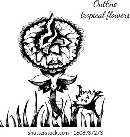 Outline hand drawn tropical flowers with butterfly and ant. Retro flowers hand outline orchid, great design for any purposes. Vector illustration. Tropical plant. Design elements. Abstract art