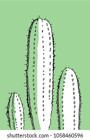 Outline hand drawn vector illustration with cactus for cards and posters on green background