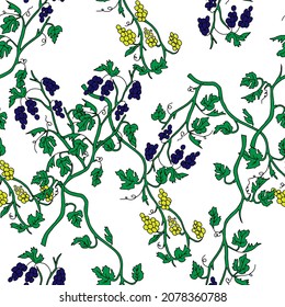 The Outline hand drawn vector illustration of a green grape vine plants with yellow and navy blue fruits isolated on a white background. Seamless pattern