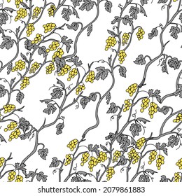 El esquema ilustra a mano un vector ilustrativo de una vid de uva gris con frutos amarillos aislados en un fondo blanco. Patrón transparente