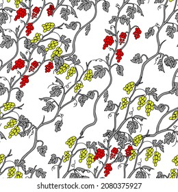 The Outline hand drawn vector illustration of a gray grape vine plants with yellow and red fruits isolated on a white background. Seamless pattern