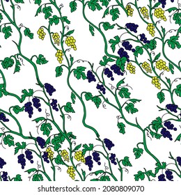 The Outline hand drawn vector illustration of a green grape vine plants with yellow and navy blue fruits isolated on a white background. Seamless pattern