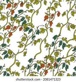 El esquema ilustra a través de un vector con la mano una vid de uva beige con frutos anaranjados y verdes aislados en un fondo blanco. Patrón transparente