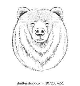 Outline hand-drawing animal head vector logo icon illustration
