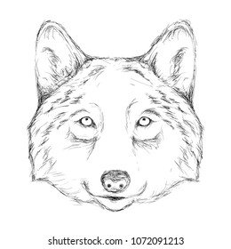 Outline hand-drawing animal head vector logo icon illustration
