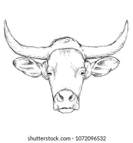 Outline hand-drawing animal head vector logo icon illustration

