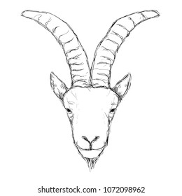 Outline hand-drawing animal head vector logo icon illustration
