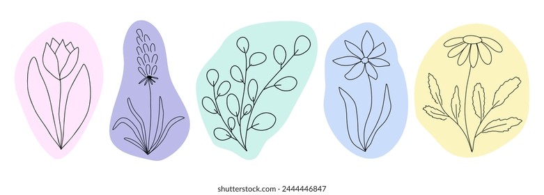 Outline hand-drawn wildflowers set, isolated silhouette on white background, fresh, light spring and summer vector illustration.